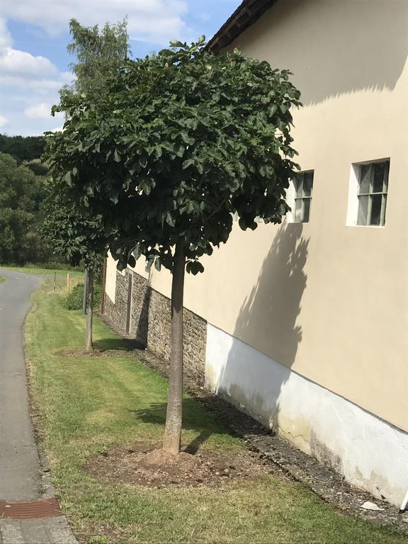 Ferienwohnung Schloessershof Borler Luaran gambar